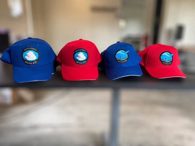Hovedbilde Hval Caps til barn